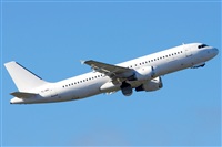 Saimon J Rodriguez   -   Canary Islands Spotting. Click to see full size photo