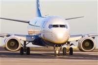 Saimon J Rodriguez   -   Canary Islands Spotting. Click to see full size photo