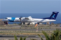 Bartolom Fernndez - Gran Canaria Spotters. Haz click para ampliar