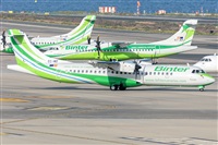 ©Adolfo Bento - Gran Canaria Spotters. Click to see full size photo ©Adolfo Bento - Gran Canaria Spotters. Click to see full size photo