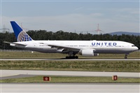 Rubn Gil - Noisy Spotters. Click to see full size photo