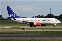 Alfonso Sols - Asociacin Canary Islands Spotting. Haz click para ampliar