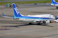 Miguel A. gueda Rguez.  (CANARY ISLANDS SPOTTING). Click to see full size photo