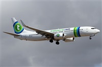 Alfonso Sols - Asociacin Canary Islands Spotting. Haz click para ampliar