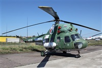 Maksimov Maxim - RuSpotters Team. Haz click para ampliar