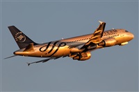 Javier de la Cruz - CANARY ISLANDS SPOTTING. Haz click para ampliar
