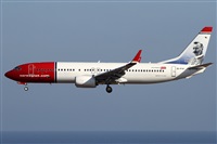 Alfonso Sols - Asociacin Canary Islands Spotting. Haz click para ampliar