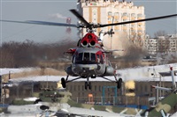 ©Maksimov Maxim - RuSpotters Team. Click to see full size photo ©Maksimov Maxim - RuSpotters Team. Click to see full size photo