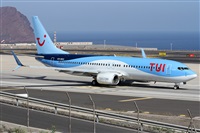 Alfonso Sols - Asociacin Canary Islands Spotting. Click to see full size photo