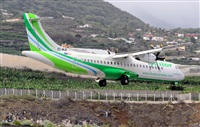©Luis Rguez - La Palma Spotting. Click to see full size photo ©Luis Rguez - La Palma Spotting. Click to see full size photo