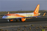 Miguel A. gueda Rguez.  (CANARY ISLANDS SPOTTING). Haz click para ampliar