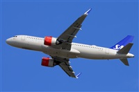 Miguel A. gueda Rguez.  (CANARY ISLANDS SPOTTING). Click to see full size photo