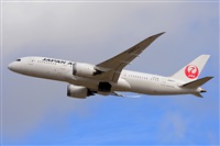 Miguel A. gueda Rguez.  (CANARY ISLANDS SPOTTING). Click to see full size photo