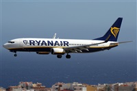 Alfonso Sols - Asociacin Canary Islands Spotting. Click to see full size photo