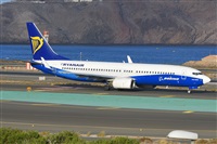 Miguel A. gueda Rguez.  (CANARY ISLANDS SPOTTING). Click to see full size photo