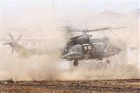 Adrin Alonso Lemes - Lanzarote Spotters. Click to see full size photo