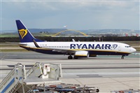 Nacho Rodriguez - Canary Islands Spotting. Haz click para ampliar