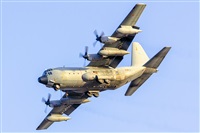 Paco Muoz Arencibia - Gran Canaria Spotters. Click to see full size photo