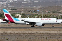 ©Alfonso Solís - Asociación Canary Islands Spotting. Click to see full size photo ©Alfonso Solís - Asociación Canary Islands Spotting. Click to see full size photo