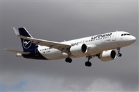 Alfonso Sols - Asociacin Canary Islands Spotting. Haz click para ampliar