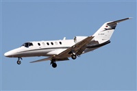 Alfonso Sols - Asociacin Canary Islands Spotting. Click to see full size photo