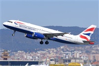 Miguel A. gueda Rguez.  (CANARY ISLANDS SPOTTING). Click to see full size photo