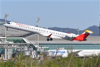 Miguel A. gueda Rguez.  (CANARY ISLANDS SPOTTING). Click to see full size photo