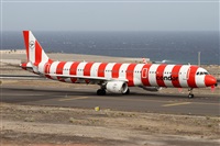 ©Alfonso Solís - Asociación Canary Islands Spotting. Click to see full size photo ©Alfonso Solís - Asociación Canary Islands Spotting. Click to see full size photo