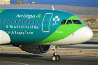 Miguel A. gueda Rguez.  (CANARY ISLANDS SPOTTING). Click to see full size photo