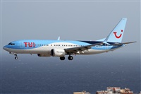 Alfonso Sols - Asociacin Canary Islands Spotting. Click to see full size photo