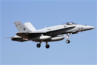Alfonso Sols - Asociacin Canary Islands Spotting. Click to see full size photo