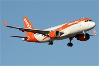 Alfonso Sols - Asociacin Canary Islands Spotting. Haz click para ampliar