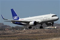 Alfonso Sols - Asociacin Canary Islands Spotting. Haz click para ampliar