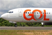 Fabio Duarte - Manaus Spotting Team. Click to see full size photo