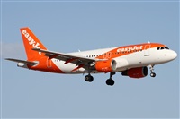 Alfonso Sols - Asociacin Canary Islands Spotting. Haz click para ampliar