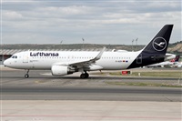 Alfonso Sols - Asociacin Canary Islands Spotting. Click to see full size photo