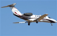 ©Francisco Garcia Romero - LPA. Spotter.. Haz click para ampliar ©Francisco Garcia Romero - LPA. Spotter.. Haz click para ampliar