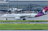 Miguel A. gueda Rguez.  (CANARY ISLANDS SPOTTING). Click to see full size photo