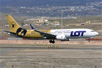Miguel A. gueda Rguez.  (CANARY ISLANDS SPOTTING). Haz click para ampliar