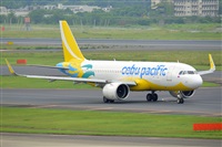 Miguel A. gueda Rguez.  (CANARY ISLANDS SPOTTING). Click to see full size photo