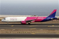 ©Alfonso Solís - Asociación Canary Islands Spotting. Click to see full size photo ©Alfonso Solís - Asociación Canary Islands Spotting. Click to see full size photo