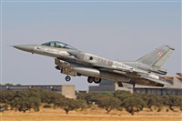 ©Juan Ojados. Click to see full size photo ©Juan Ojados. Click to see full size photo