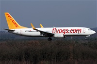 Daniel Schwinn. Click to see full size photo