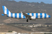 Adolfo Bento - Gran Canaria Spotters. Click to see full size photo