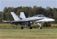 �Rod Dermo. Click to see full size photo