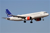 ©Alfonso Solís - Asociación Canary Islands Spotting. Click to see full size photo ©Alfonso Solís - Asociación Canary Islands Spotting. Click to see full size photo