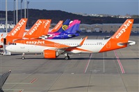 �Miguel A. �gueda Rguez.  (CANARY ISLANDS SPOTTING). Click to see full size photo