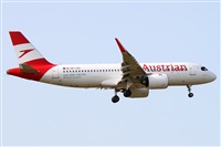 �Alfonso Sol�s - Asociaci�n Canary Islands Spotting. Click to see full size photo