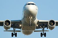 Sergio Morchn - Spotters Alliance. Click to see full size photo