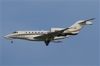 Jos Miguel Bernases - Noisy Spotters. Click to see full size photo